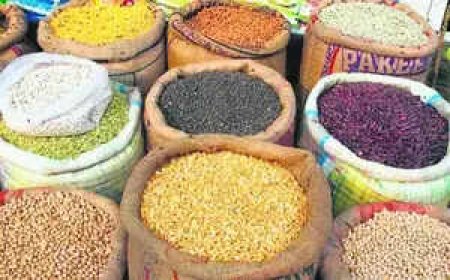 Centre targets high procurement of pulses through PSS, PSF schemes to reassure farmers, boost output