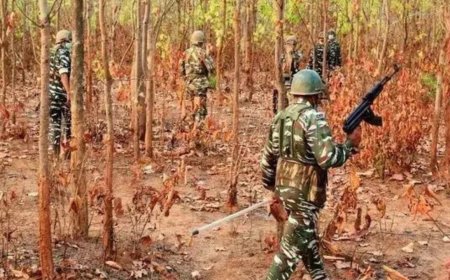 Two Naxals killed in Jharkhand encounter, operations underway