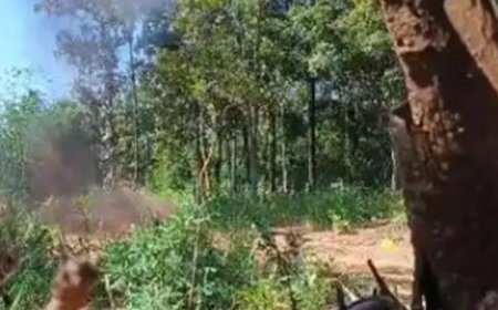 Security forces neutralise 8 IEDs in Chhattisgarh's Bijapur