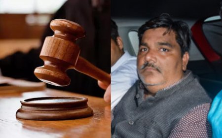 Delhi poll campaign: SC delivers split verdict on riots accused Tahir Hussain's interim bail plea