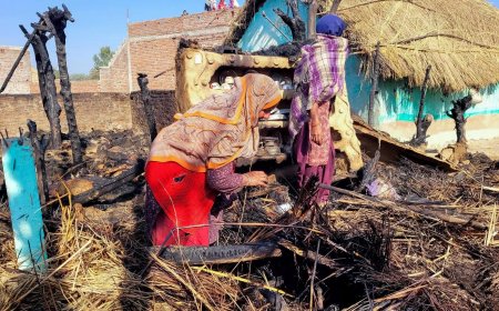 Over 100 sheep charred to death in J&K’s Samba