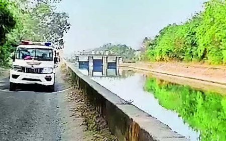 Man jumps into Narmada canal to save pet dog, drowns