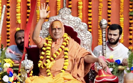 Govt should set up Sanatan Board for growth of Hindu institutions: Shankrayacharya Sadanand Saraswati