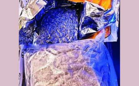 DRI arrests two with hydroponic weed valued Rs 3.7 crore at Jaipur airport