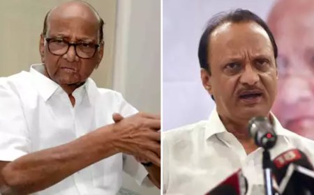 Sharad Pawar, nephew Ajit in closed-door meet