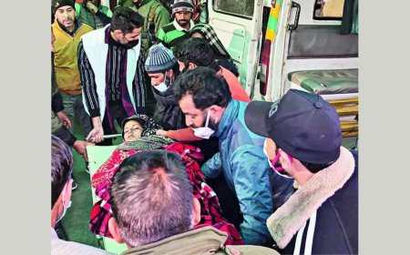 Mystery deaths in Rajouri could be due to poisoning