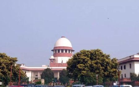 SC says fake advocates a serious issue, seeks status of verification in 8 weeks