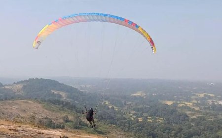 Paragliding activities across Goa suspended