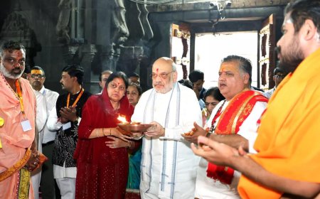 Sharad Pawar did nothing for co-ops in 10 years as Union agriculture minister: Amit Shah