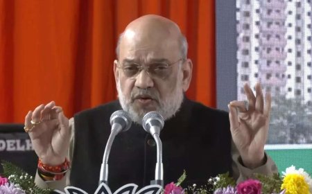 'Have never seen such a liar': Amit Shah attacks AAP's Arvind Kejriwal; releases final part of BJP's Delhi manifesto