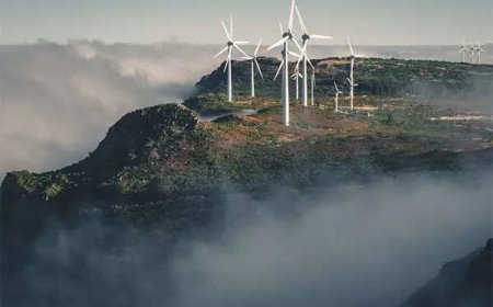 Energy sector demands enhanced investment, PLI boost, and tax reform in Union Budget 2025