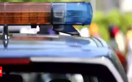 'Digital arrest' mastermind held on return from Cambodia