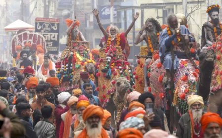 Maha Kumbh: Govt asks airlines to add Prayagraj flights & rein in soaring airfares
