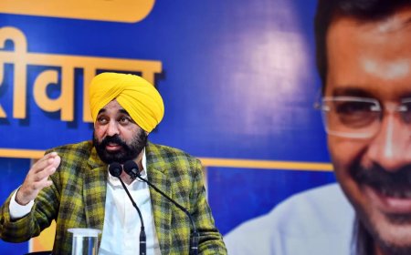 EC officials at Punjab CM Bhagwan Mann's Delhi residence for search: AAP