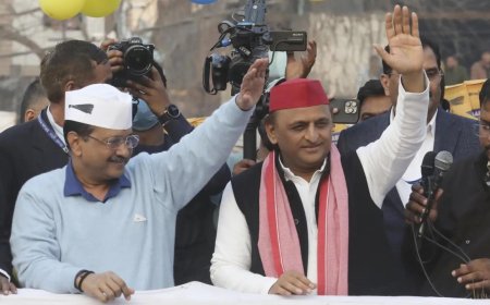 'Don't waste a single vote': In Akhilesh Yadav's call to elect AAP in Delhi, a subtle message for Congress