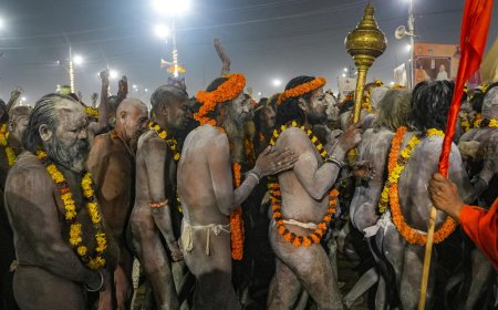 Maha Kumbh: 12k naga sadhus to take dip on Feb 3