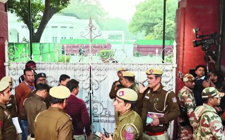 AAP lashes out after Election Commission staff, cops search Mann house over complaint