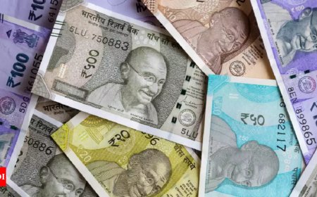 Indian rupee performed better than currencies of Canada, Korea, Brazil: Eco survey 2024-25