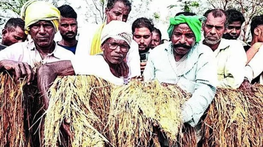 SC on MSP PIL: 'Why can't govt tell farmers its doors are open for talks?'