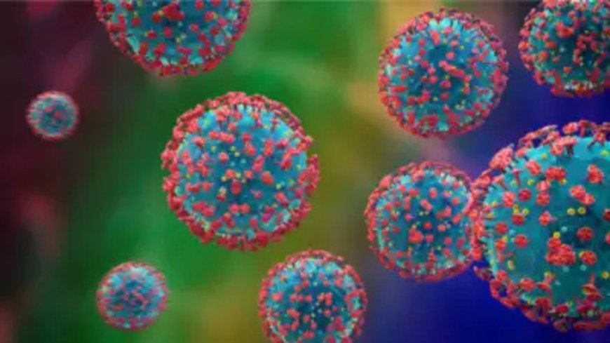 Anxious about HMPV? Here’s all you need to know