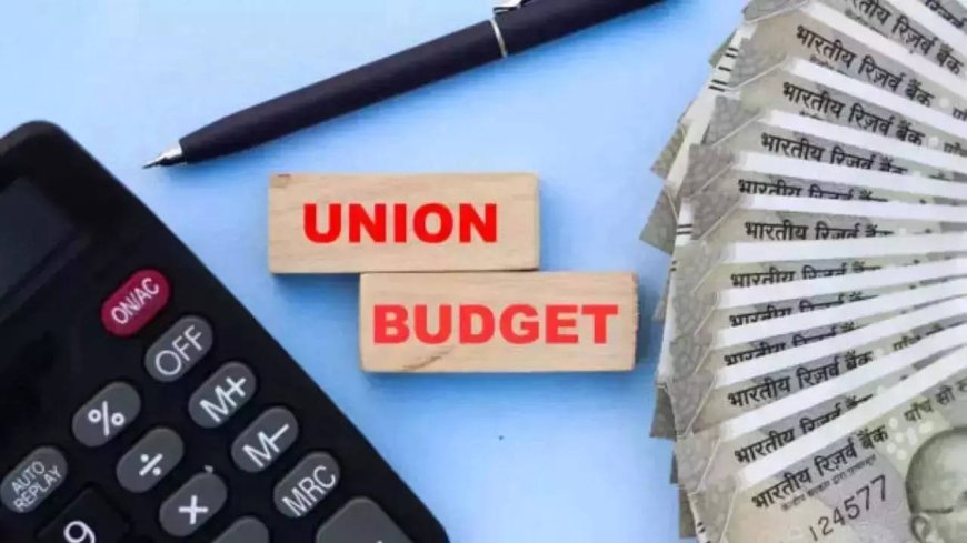 EC nod to February 1 Budget, but with riders on Delhi schemes