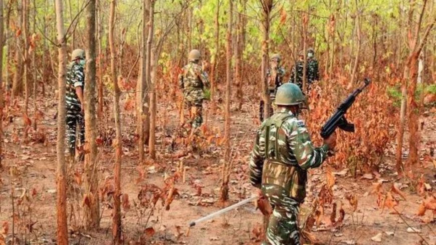 Chhattisgarh: Three Naxalites killed in Sukma encounter; security forces defuse 2 improvised explosive