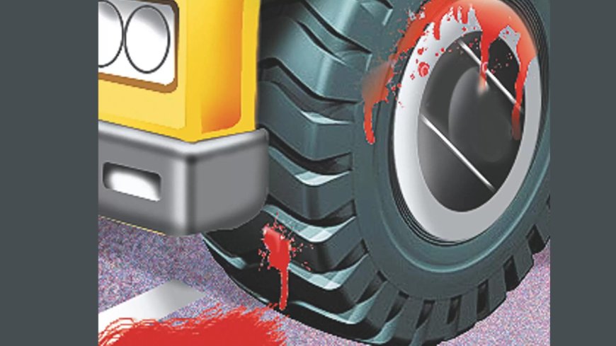 Truck in Rajasthan no-entry zone runs over policeman trying to stop it