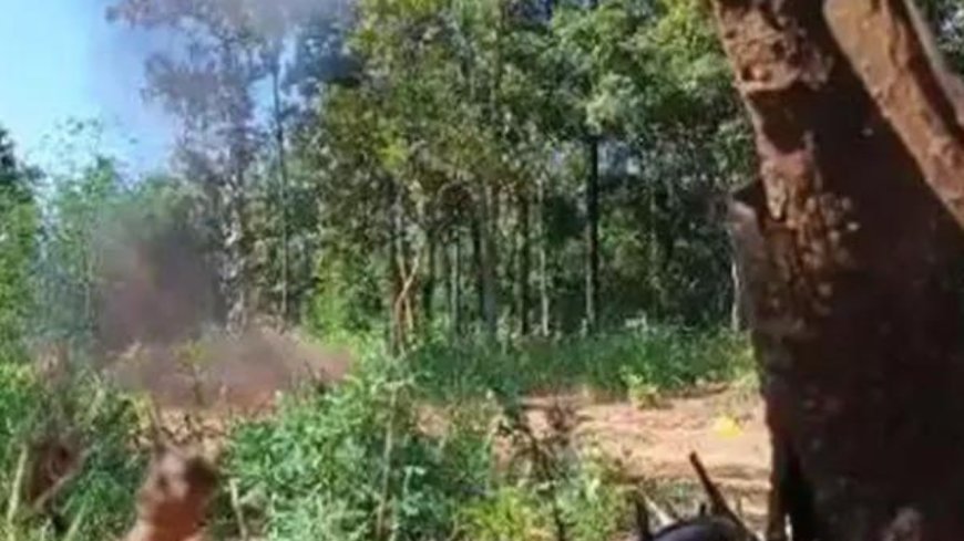 Security forces neutralise 8 IEDs in Chhattisgarh's Bijapur