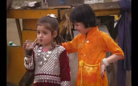 January 2025 was 3rd warmest in India's recorded history