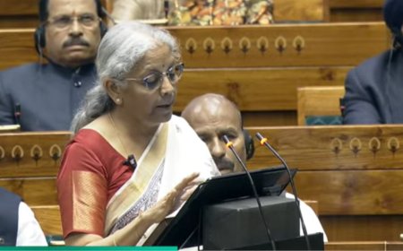Union Budget 2025: With eyes on Bihar polls, Nirmala Sitharaman presents Budget in Madhubani saree