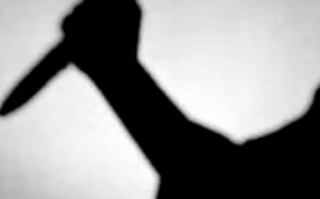 Maharashtra man knifes ex to death, tries to kill self