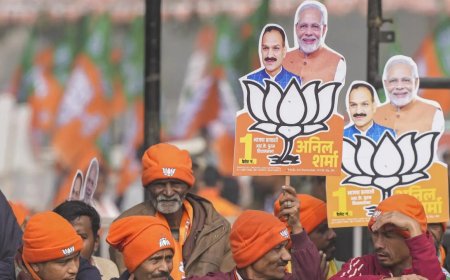 'Dil valo ki Delhi ko ab BJP sarkar chahiye': Party launches new campaign song 3 days ahead of polls