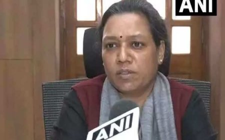 6,000 complaints regarding MCC violations in 25 days: Chief Electoral Officer Delhi