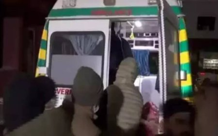 Rajouri deaths: Delhi AIIMS experts meet patients, record clinical history