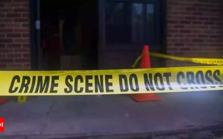 2 Indian students killed, 2 others seriously injured in a car crash in Ireland