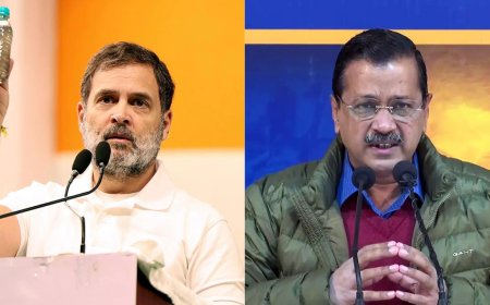 'Arvind Kejriwal Wagon R mein aaye, sweater pehne aur khambe pe chadh gaye': Rahul Gandhi at Delhi rally