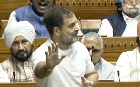 'Halwa, Nehru, Trump invitation': Centre bristles over Rahul Gandhi's digs in Lok Sabha