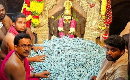 Education festival celebrated at Ainavilli temple with special prayers and pen distribution