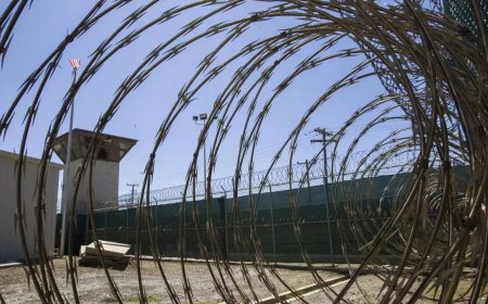 Punjabi organisation in America urges state government to support deported youth