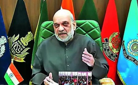 Take ruthless steps to curb J&K terror, Amit Shah tells forces