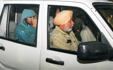 'Saw one die, another drown': Indians deported from US recall ‘donkey’ route ordeal