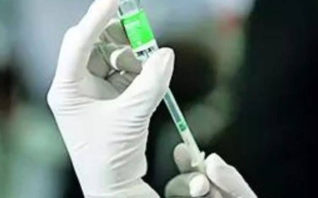ICMR working on desi vaccine against H5N1 bird flu virus