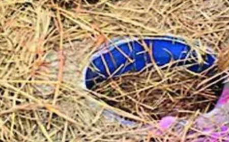 Boy falls into hidden liquor barrel, dies