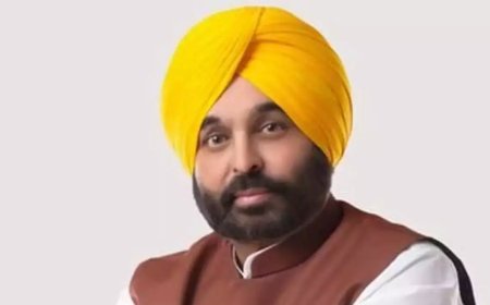 A great shame, says Punjab CM Bhagwant Mann; SAD slams AAP