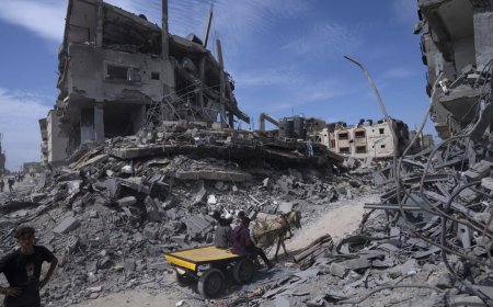 Position on Palestine issue has not changed: India