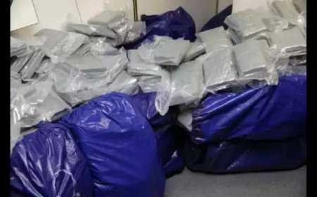 NCB seizes cocaine worth Rs 100 crore in Mumbai, arrests 4