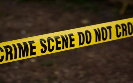 Punjab SIT to probe human trafficking racket