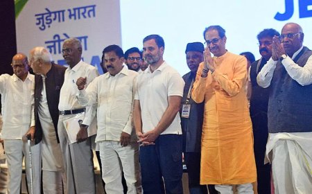 Delhi elections 2025: INDIA allies blame disunity for AAP's solo flight crash