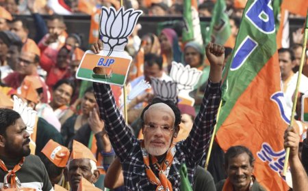 Delhi assembly election results 2025: What worked for BJP and what did not for AAP?