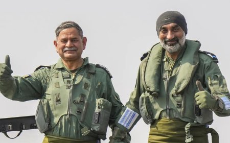 Watch: In a first, IAF, Army chiefs take sortie together in LCA Tejas fighter jet